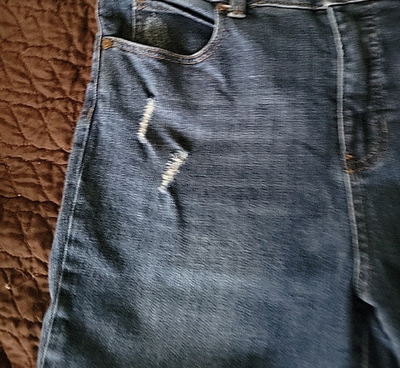 Talbots High Rise Distressed Blue Jeans - Picture 4 of 11
